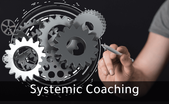 Systemic Coaching - قافلة